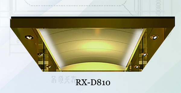 RX-D810