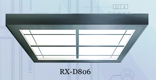 RX-D806